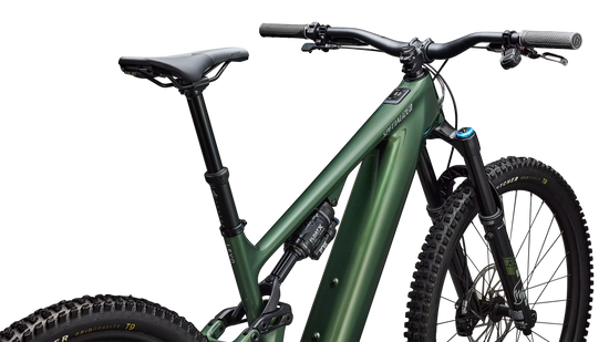 Turbo Levo 4 Expert Carbon Mountain E-Bike - Green