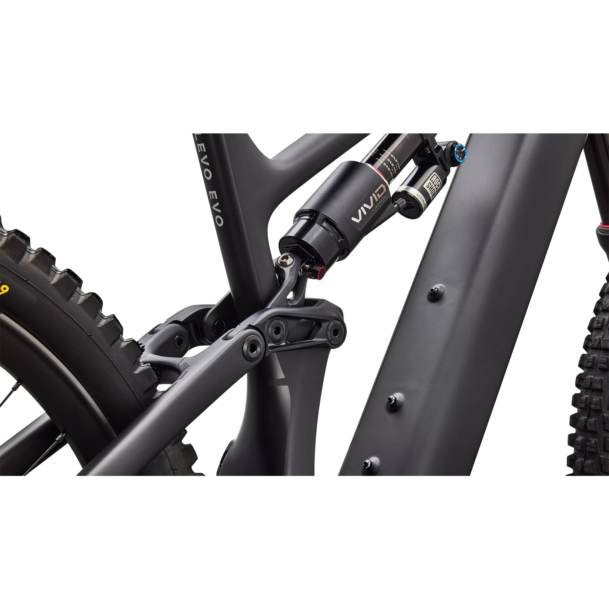 Levo 4 EVO Pro 2027 Mountain E-Bike - Black