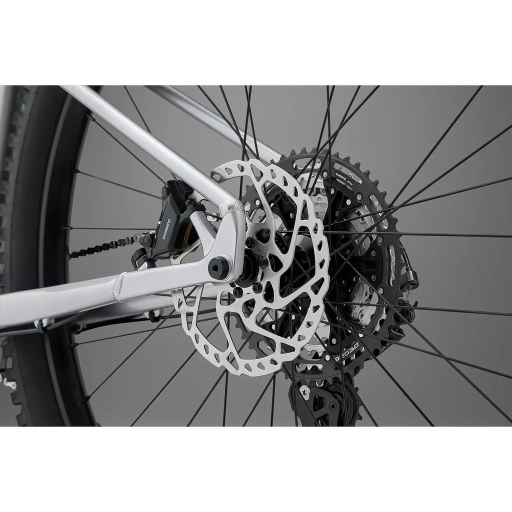 Secta RSX 2027 Mountain Bike - Silver