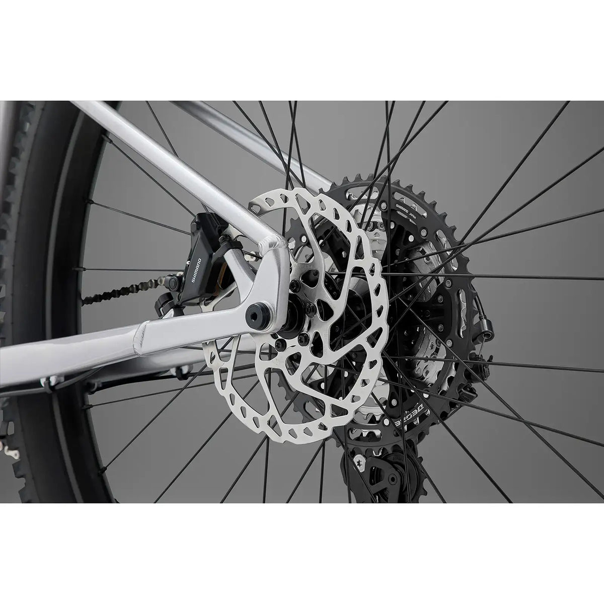 Secta RSX 2027 Mountain Bike - Silver