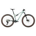 Oiz H10 2027 Mountain Bike - Blue