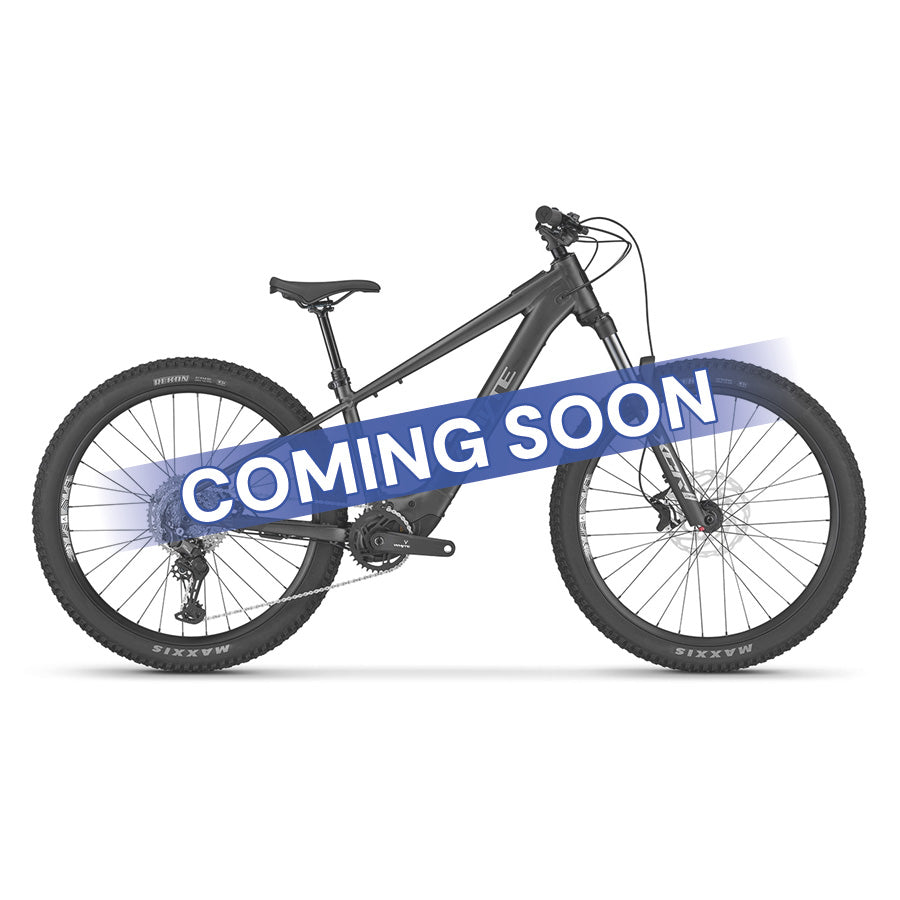 Secta-E 2027 Mountain E-Bike - Grey