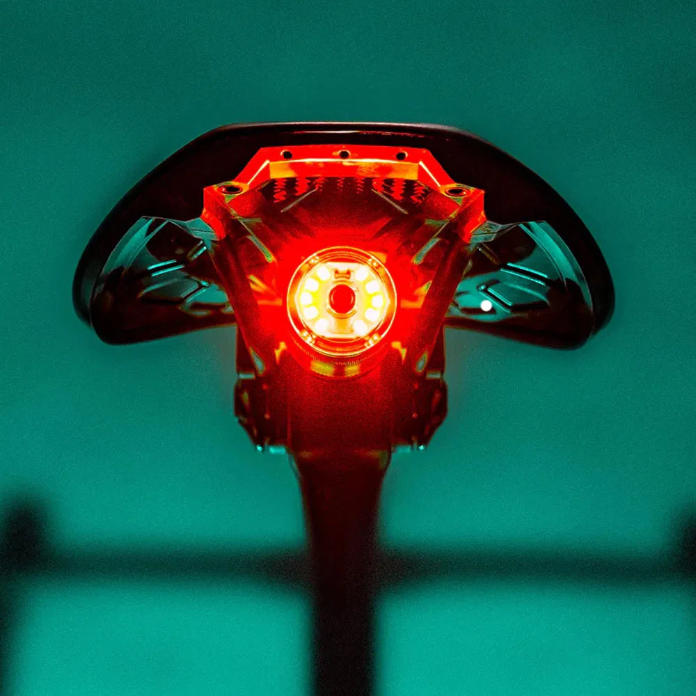 Saddle Drive 250 Rear Light