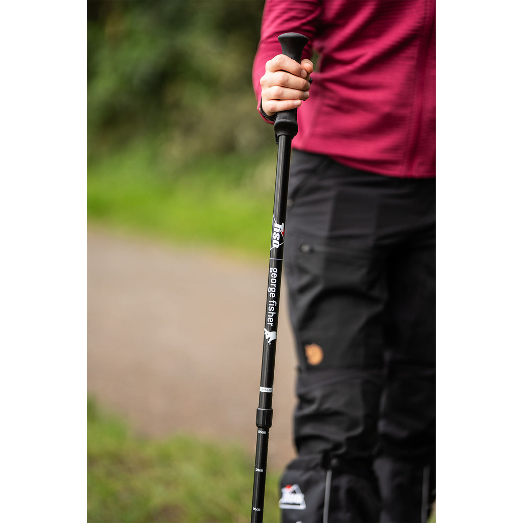 Walking Pole - Black