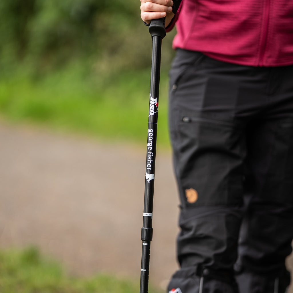 Walking Pole - Black