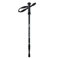 Walking Pole - Black