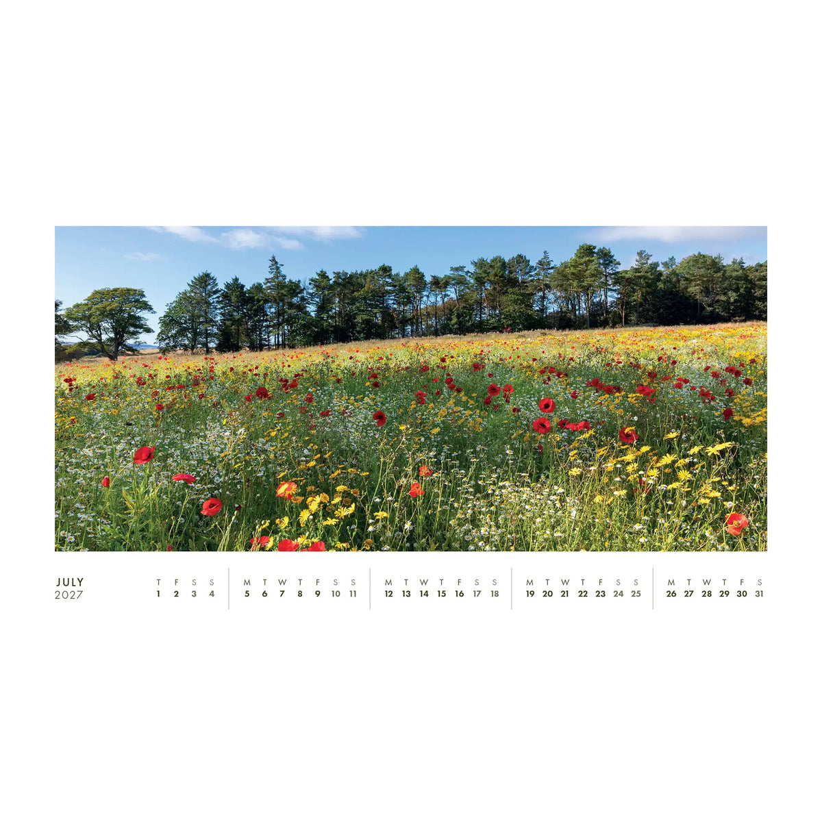 Scotland Desk 2027 Calendar
