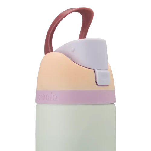 FreeSip® 24oz Stainless Steel Bottle - Multi