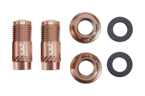 CoreCaps Valve Caps - 2 Pieces - Copper