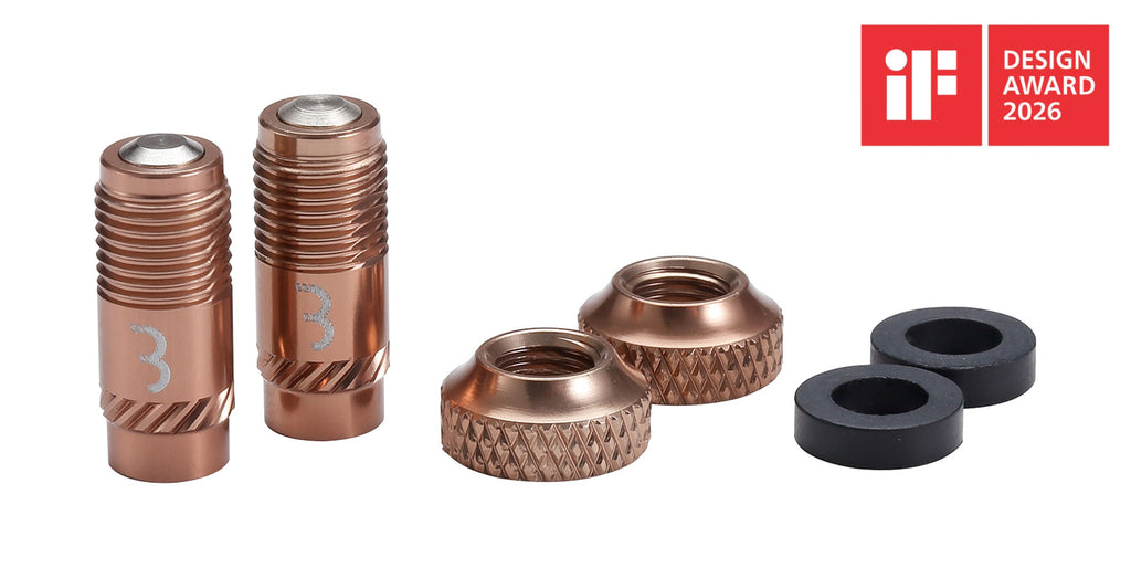 CoreCaps Valve Caps - 2 Pieces - Copper