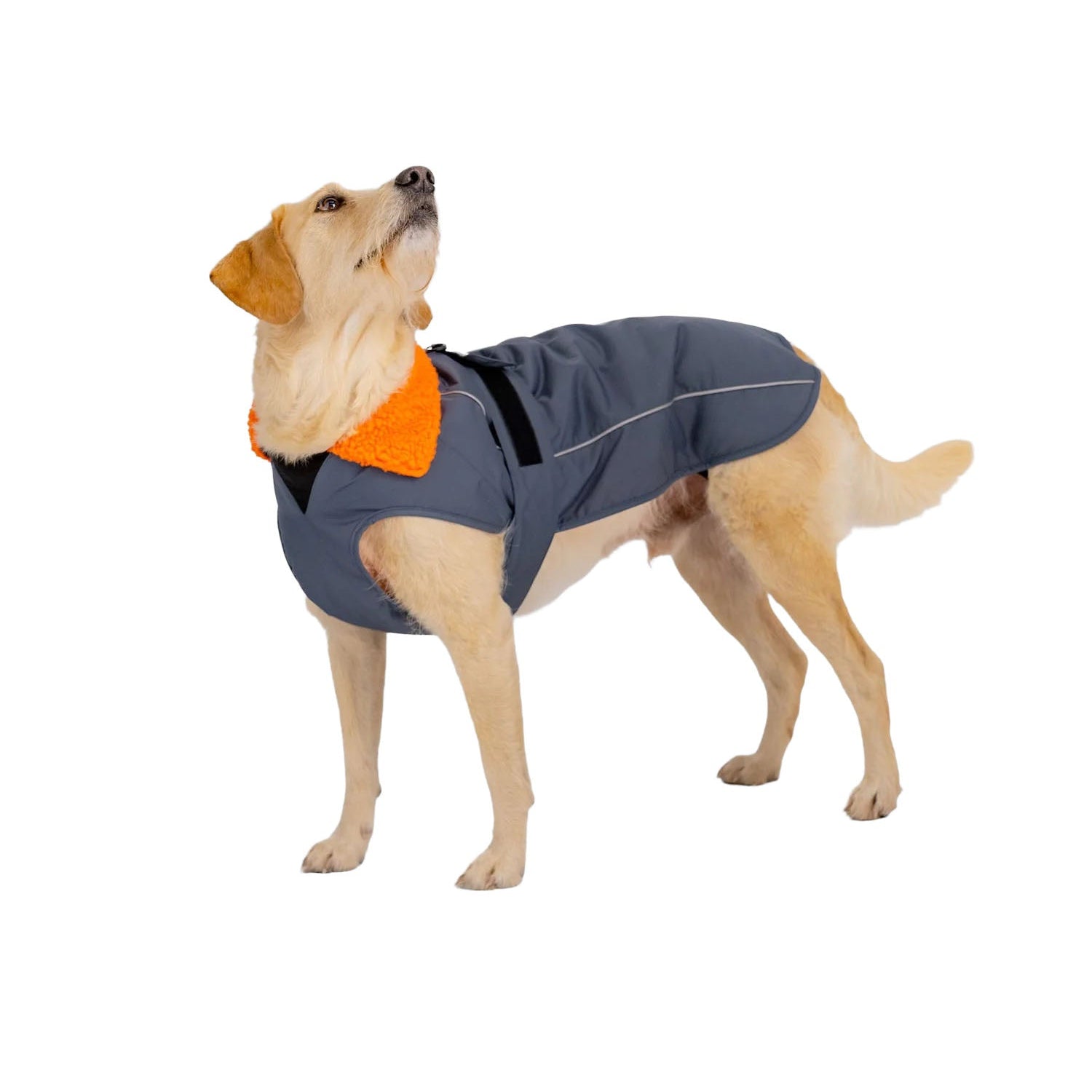 Dog Dryrobe Coat - Grey/Orange