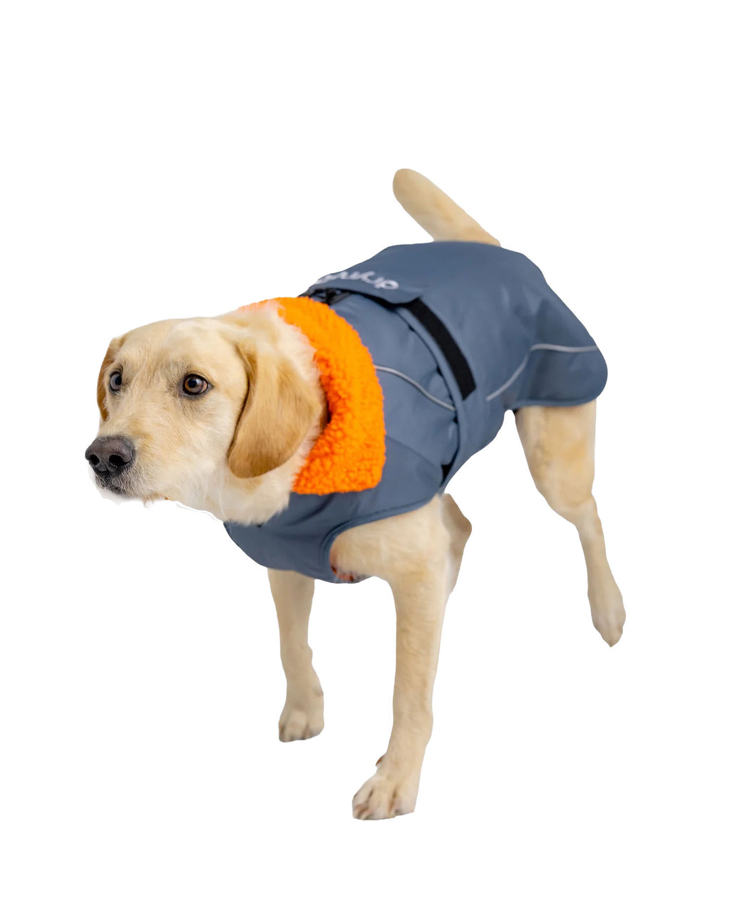 Dog Dryrobe Coat - Grey/Orange