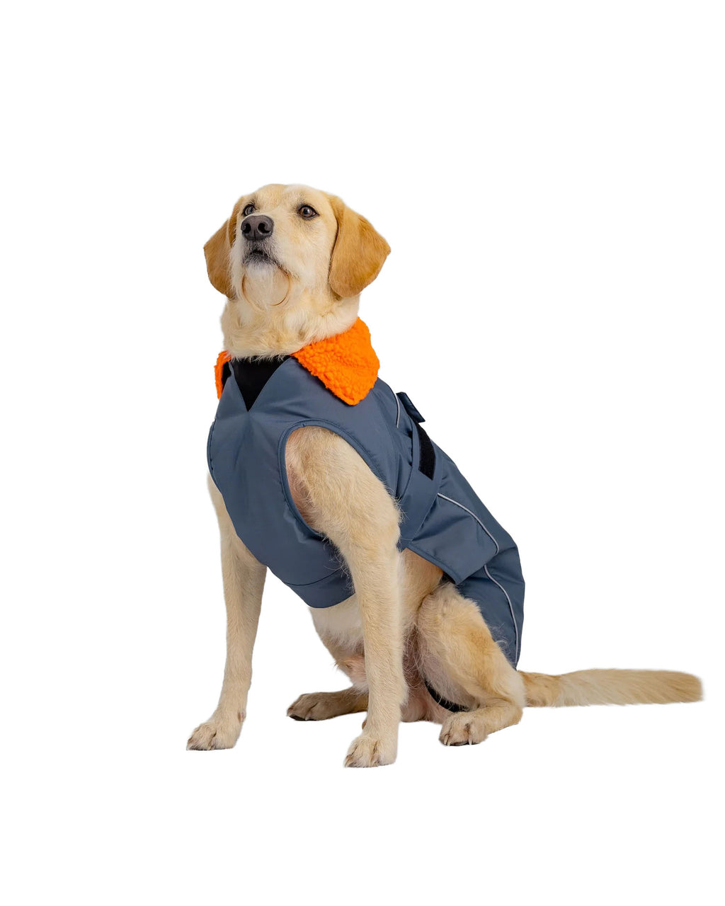 Dog Dryrobe Coat - Grey/Orange