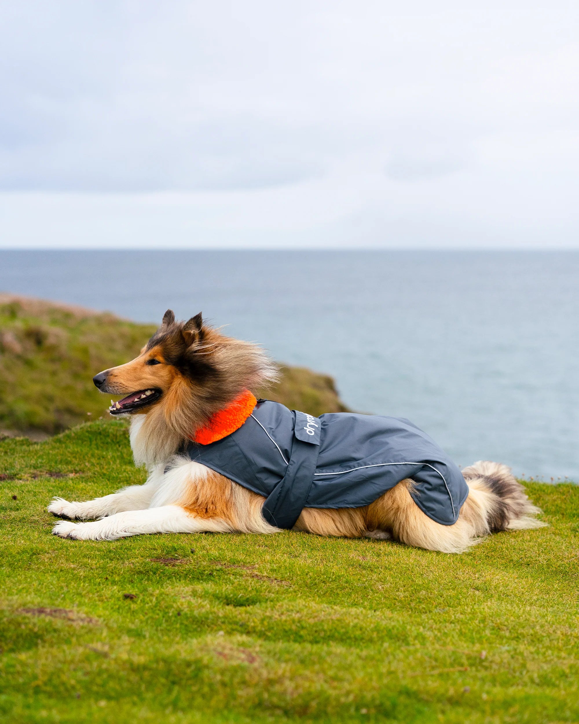 Dog Dryrobe Coat - Grey/Orange