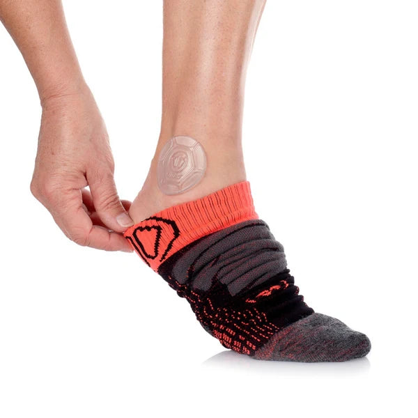 Ankle Protectors EVO