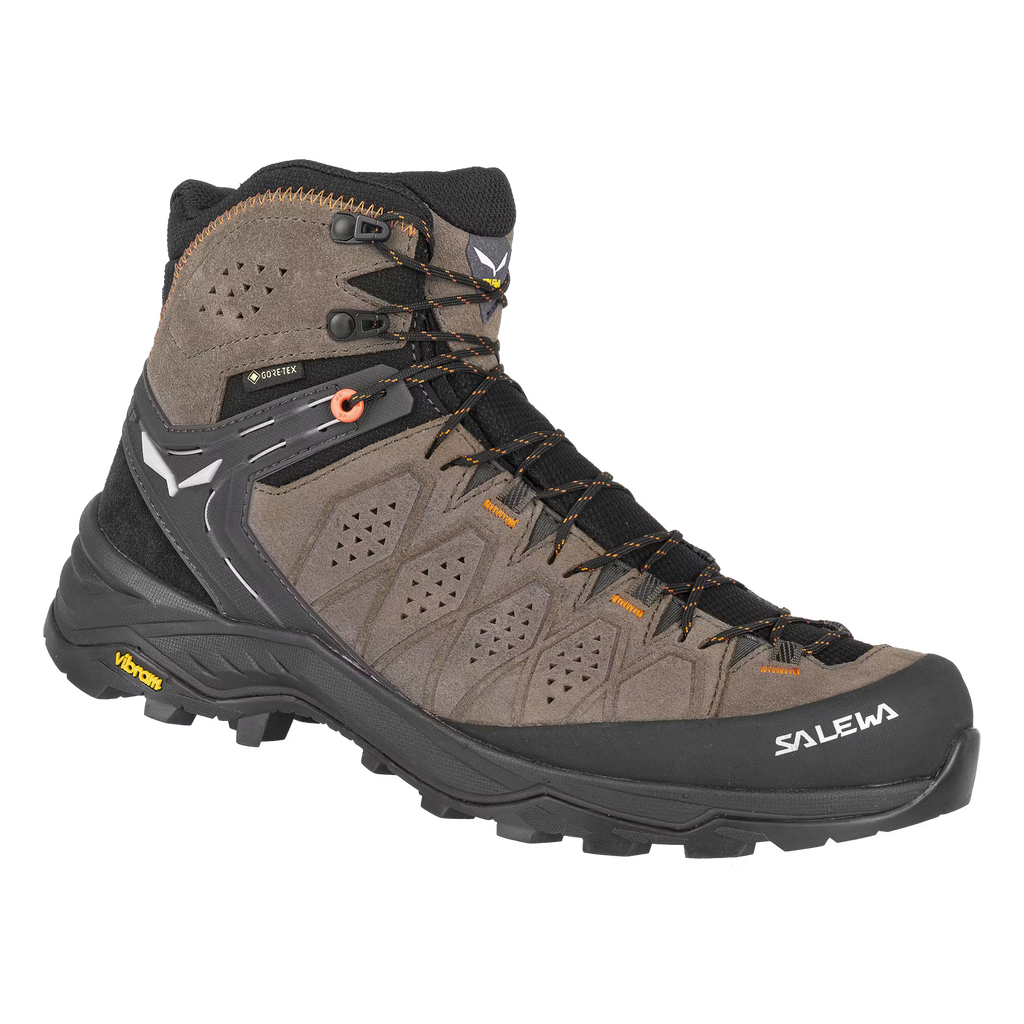 Men's Alp Trainer 2 Mid GORE-TEX Hiking Boots - Brown