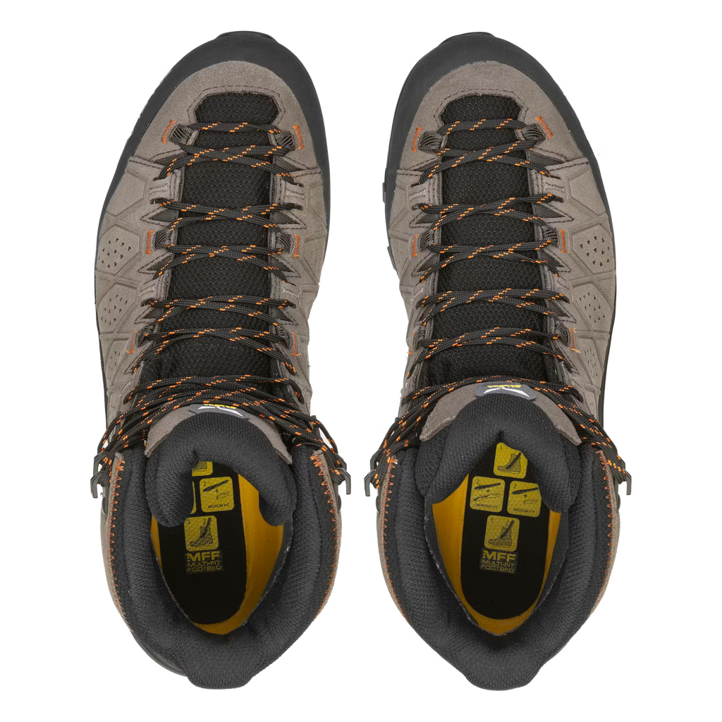 Men's Alp Trainer 2 Mid GORE-TEX Hiking Boots - Brown