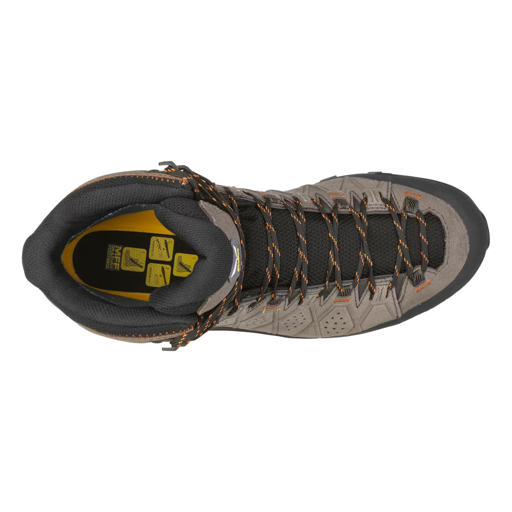 Men's Alp Trainer 2 Mid GORE-TEX Hiking Boots - Brown