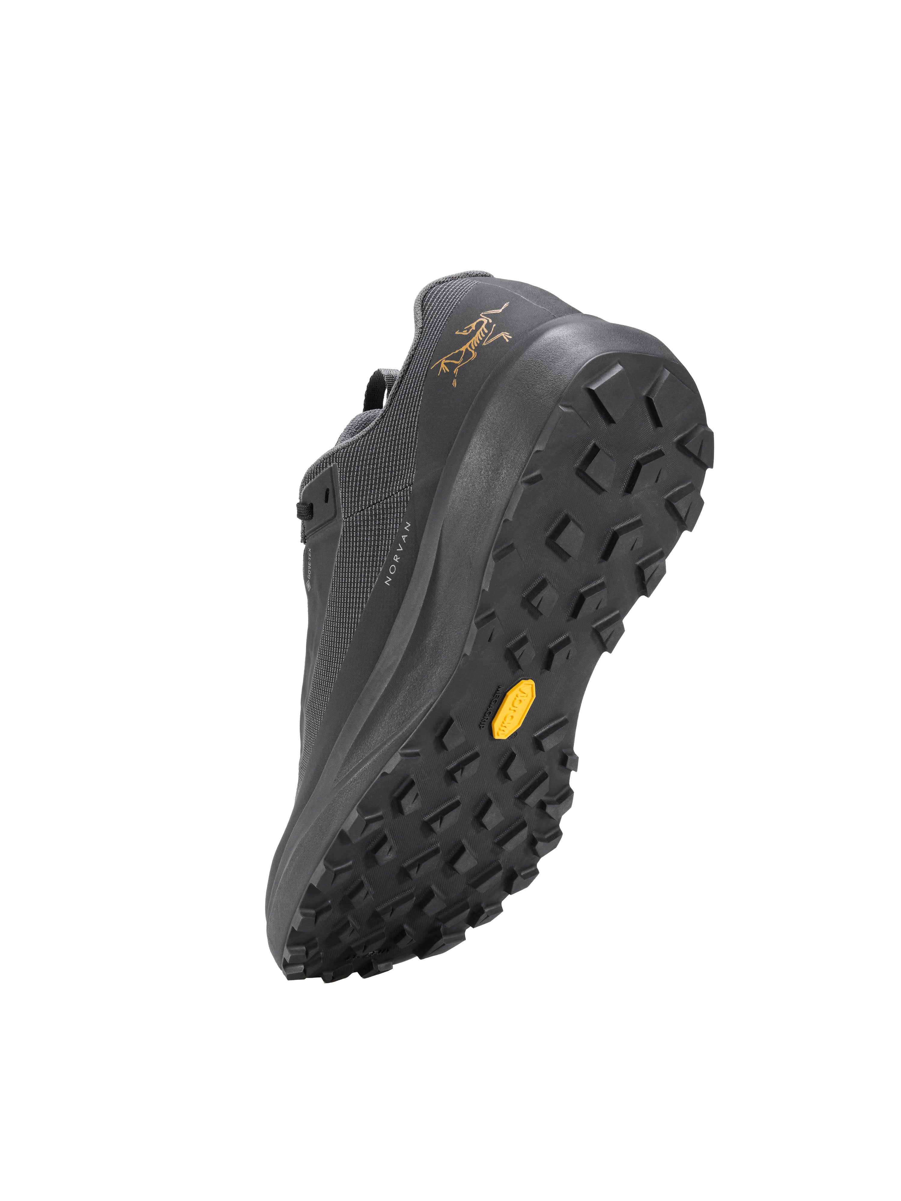 Men's Norvan LD 4 GORE-TEX Trail Running Shoes - Black