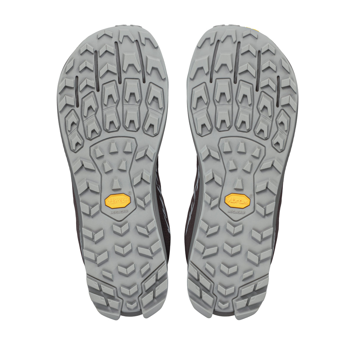 Men's Lone Peak 9+ Shoes - Brown
