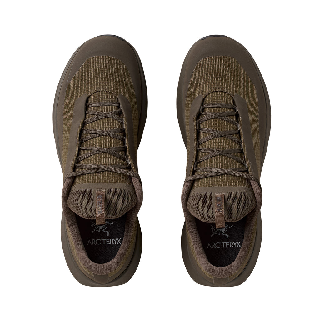 Men's Norvan Long Distance 4 GORE-TEX® Trail Running Shoes - DK Mongoose