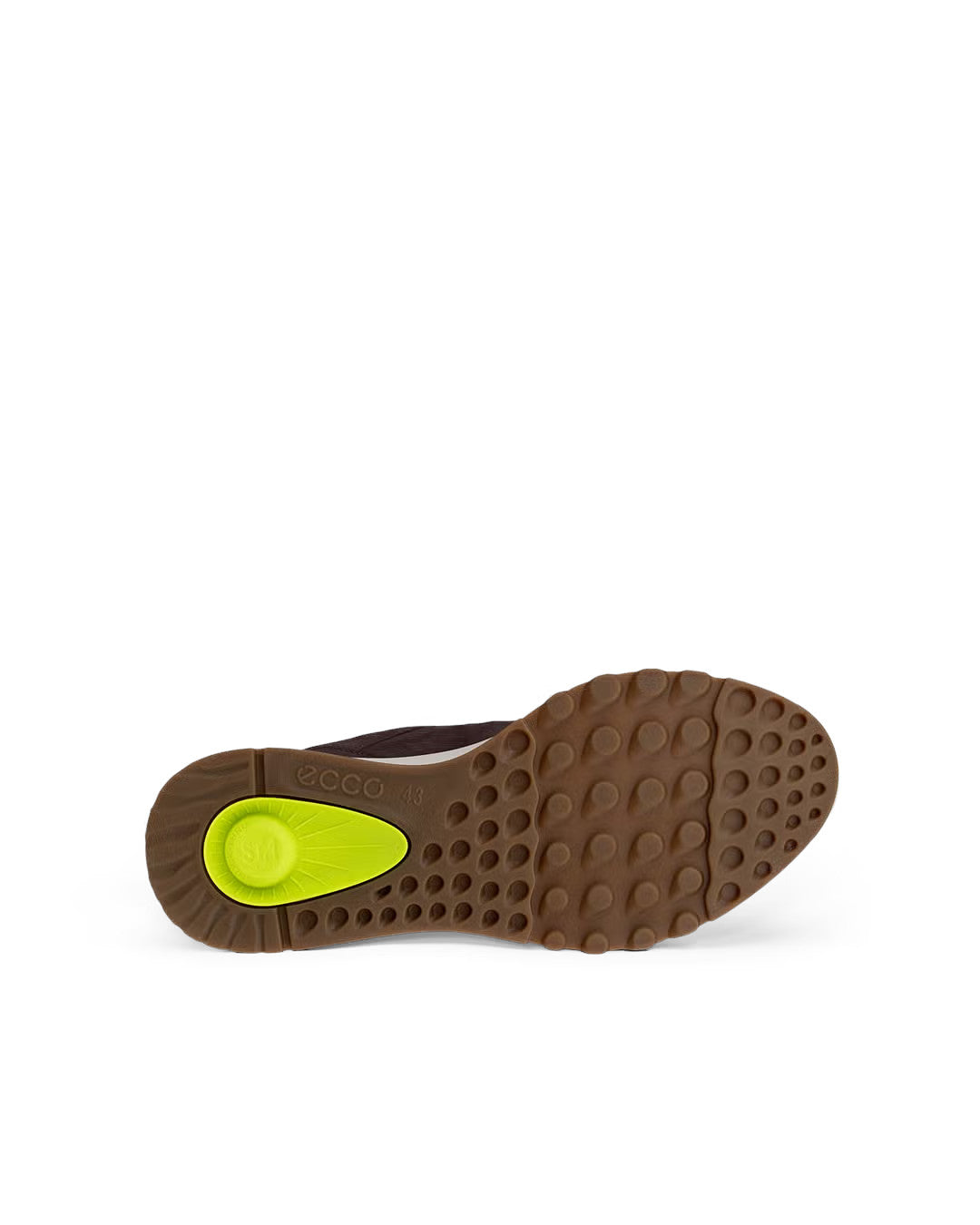 Men's Exostride GORE-TEX Shoes - Brown