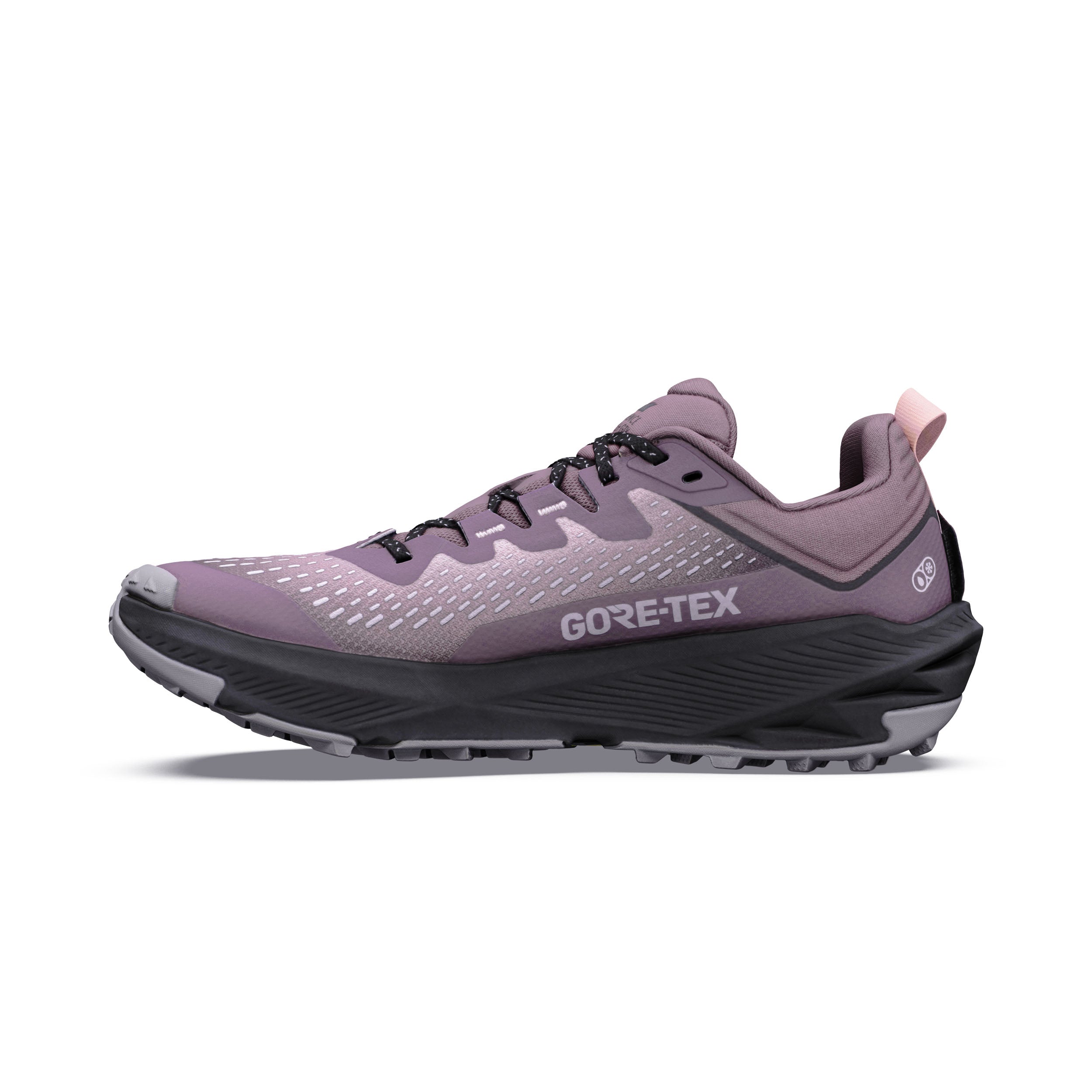 Women's Experience Wild 3+ GORE-TEX® Running Shoes - Purple