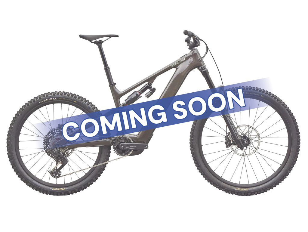 Levo 4 EVO Comp 2027 Mountain E-Bike - Dark Grey