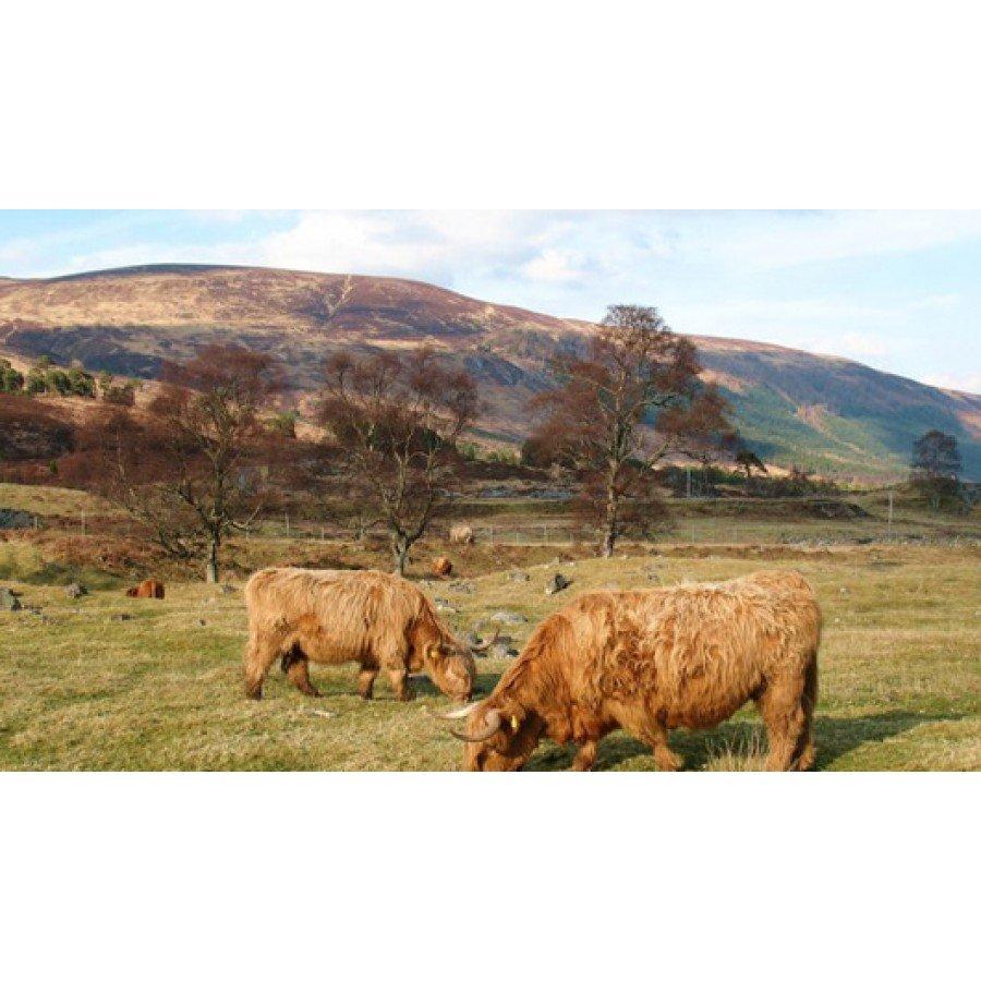 Explorer OL48 Ben Lawers & Glen Lyon Map