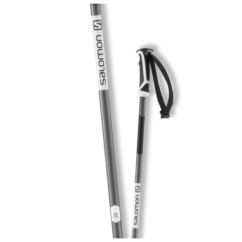 Arctic Ski Pole