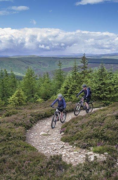 Mountain Biking in Southern & Central Scotland