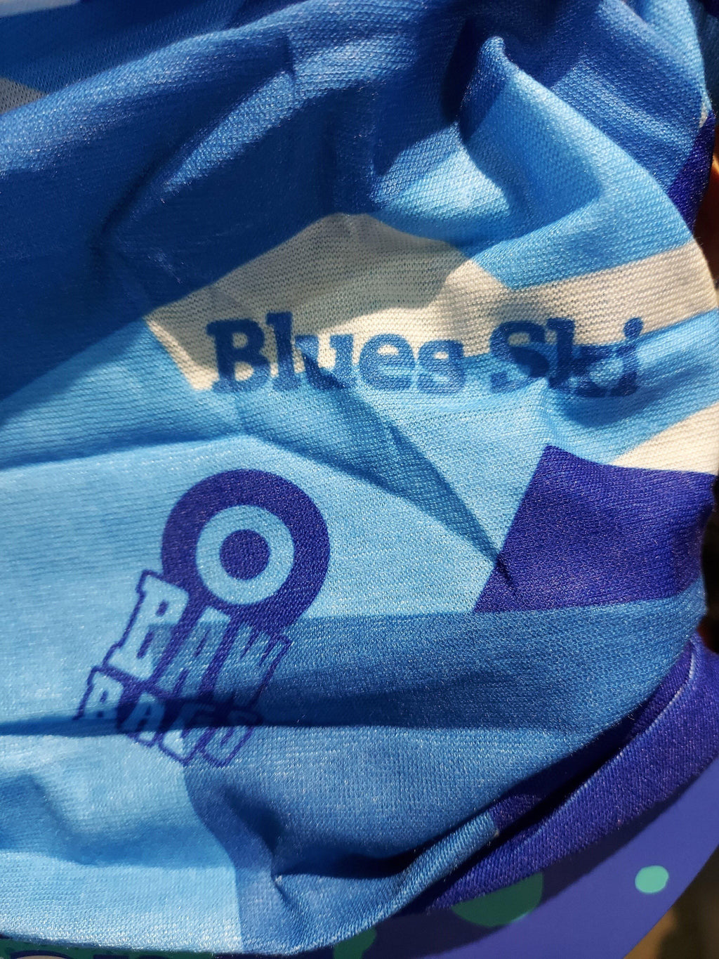 Blues Bawbags Ski Sleeve