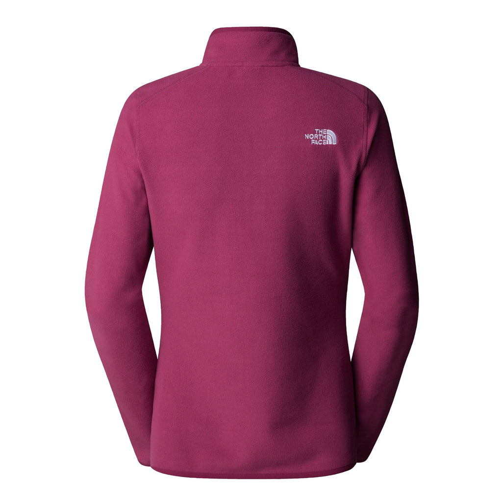 Women's 100 Glacier 1/4 Zip Fleece - Purple