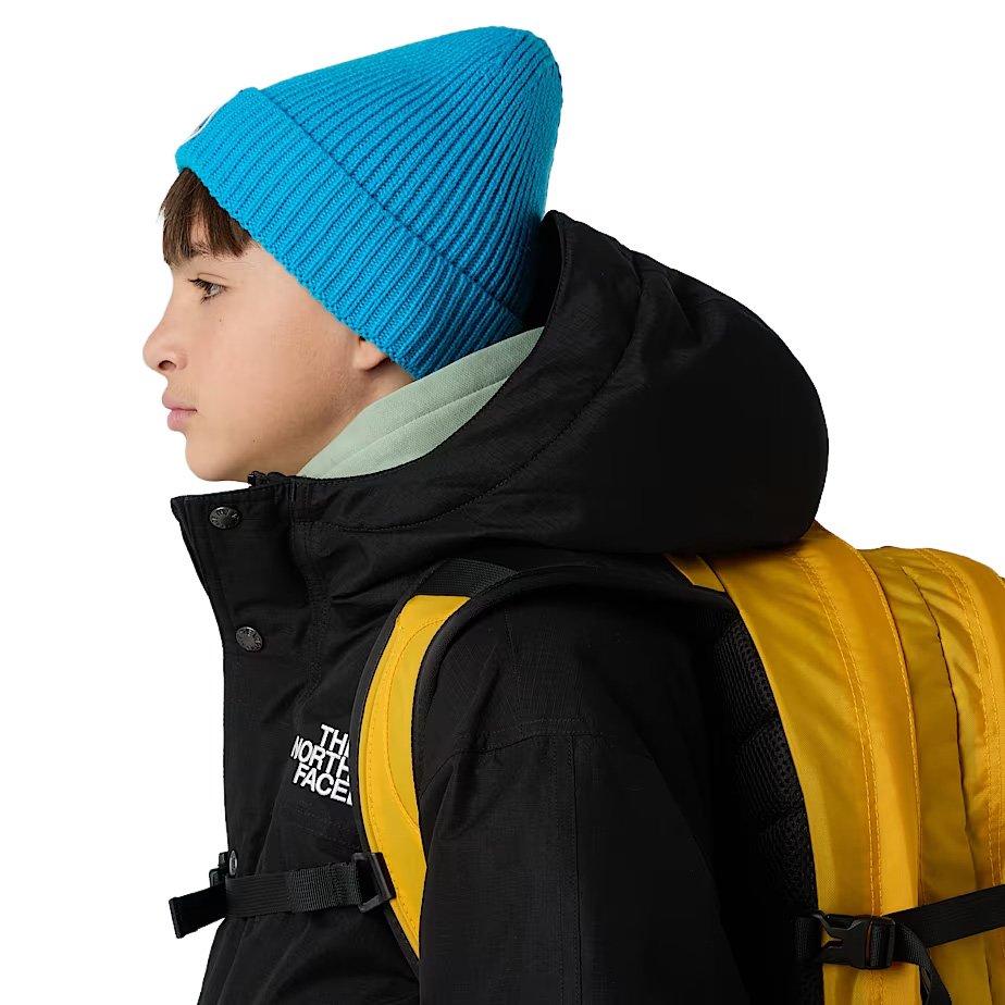 Kids' TNF Logo Box Cuffed Beanie - Blue