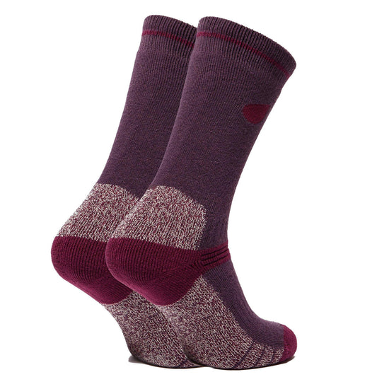 Women's Heavyweight Outdoor Socks 2-Pack - Purple