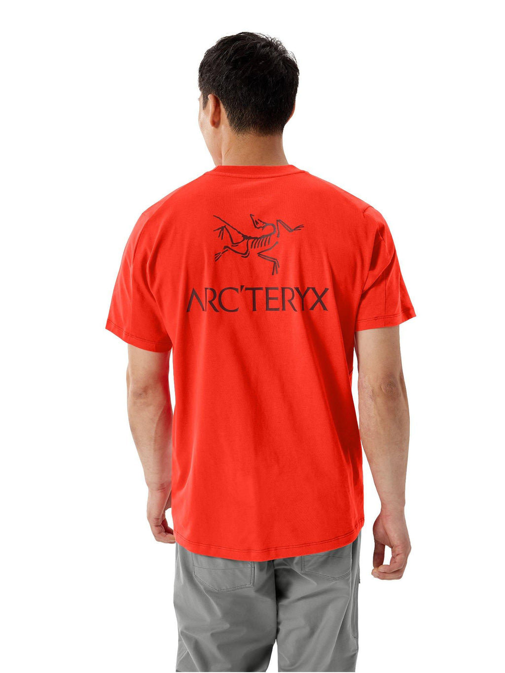 Men's Kragg SL Cotton Bird Word Short-Sleeve T-Shirt - Dynasty / Mars