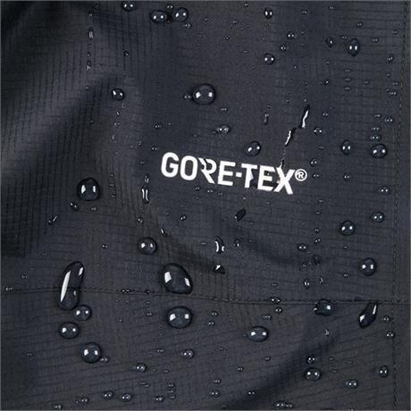 Men's Paclite GORE-TEX Pant (Short) - Black