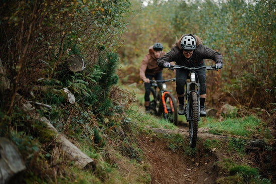 E-Lyte 150 RSX Trail/Enduro Electric Mountain Bike - Silver