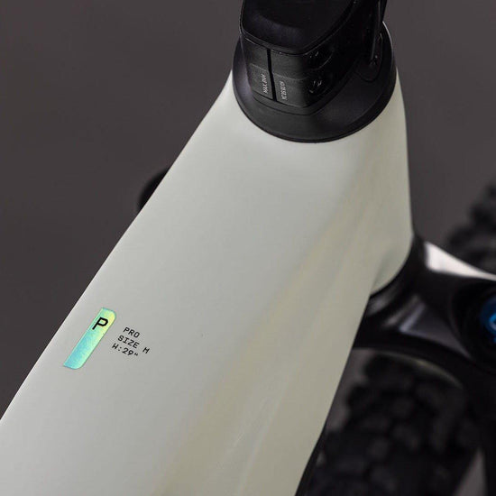 Reaction Hybrid Pro 800 Mountain E-Bike - Green