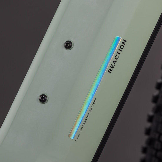 Reaction Hybrid Pro 800 Mountain E-Bike - Green