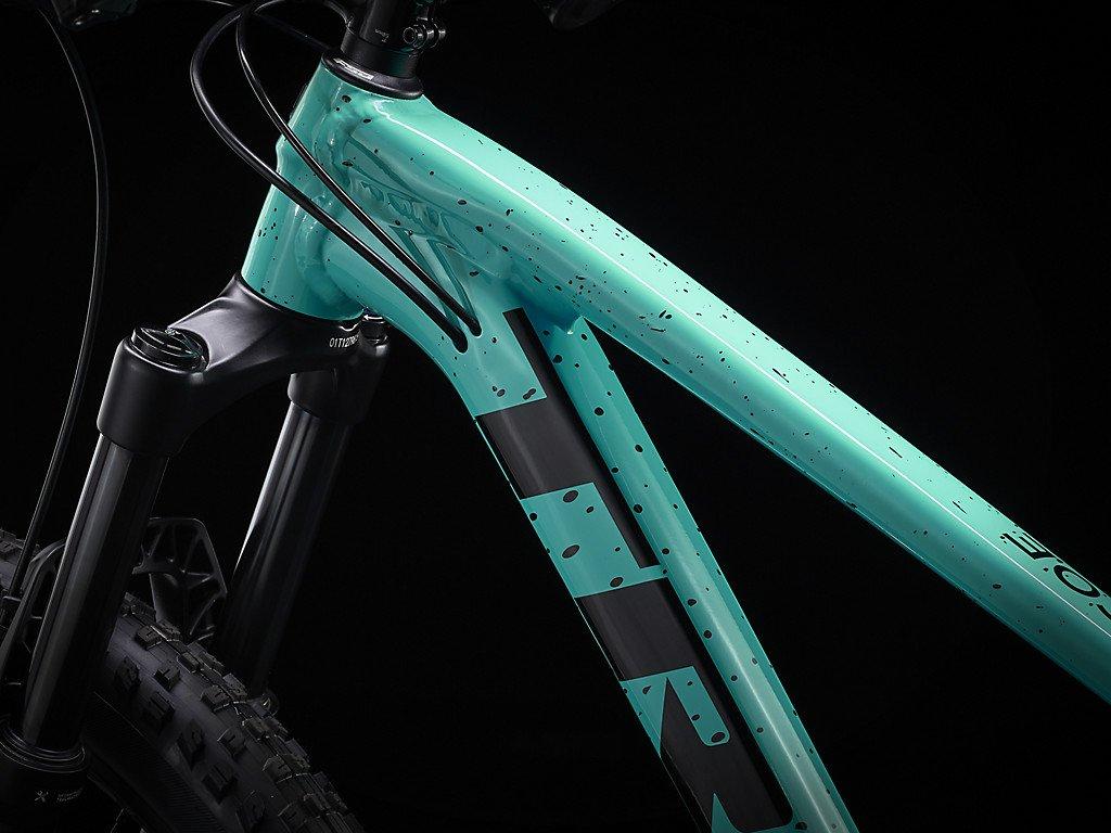 Roscoe 7 - 2023 - Miami Green