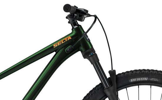 Secta R Mountain Bike - Green