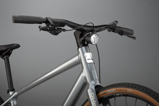 RHeO 2 Leisure E-Bike - Gloss Silver