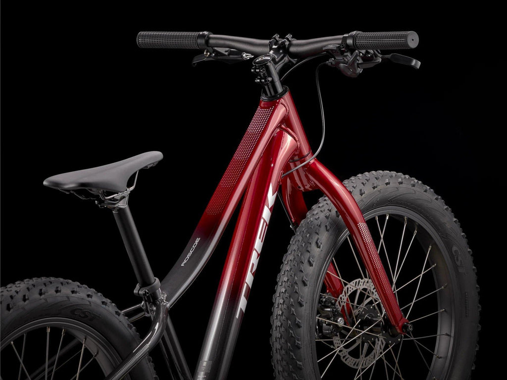 Roscoe 20 Kids' Mountain Bike - Red/Black