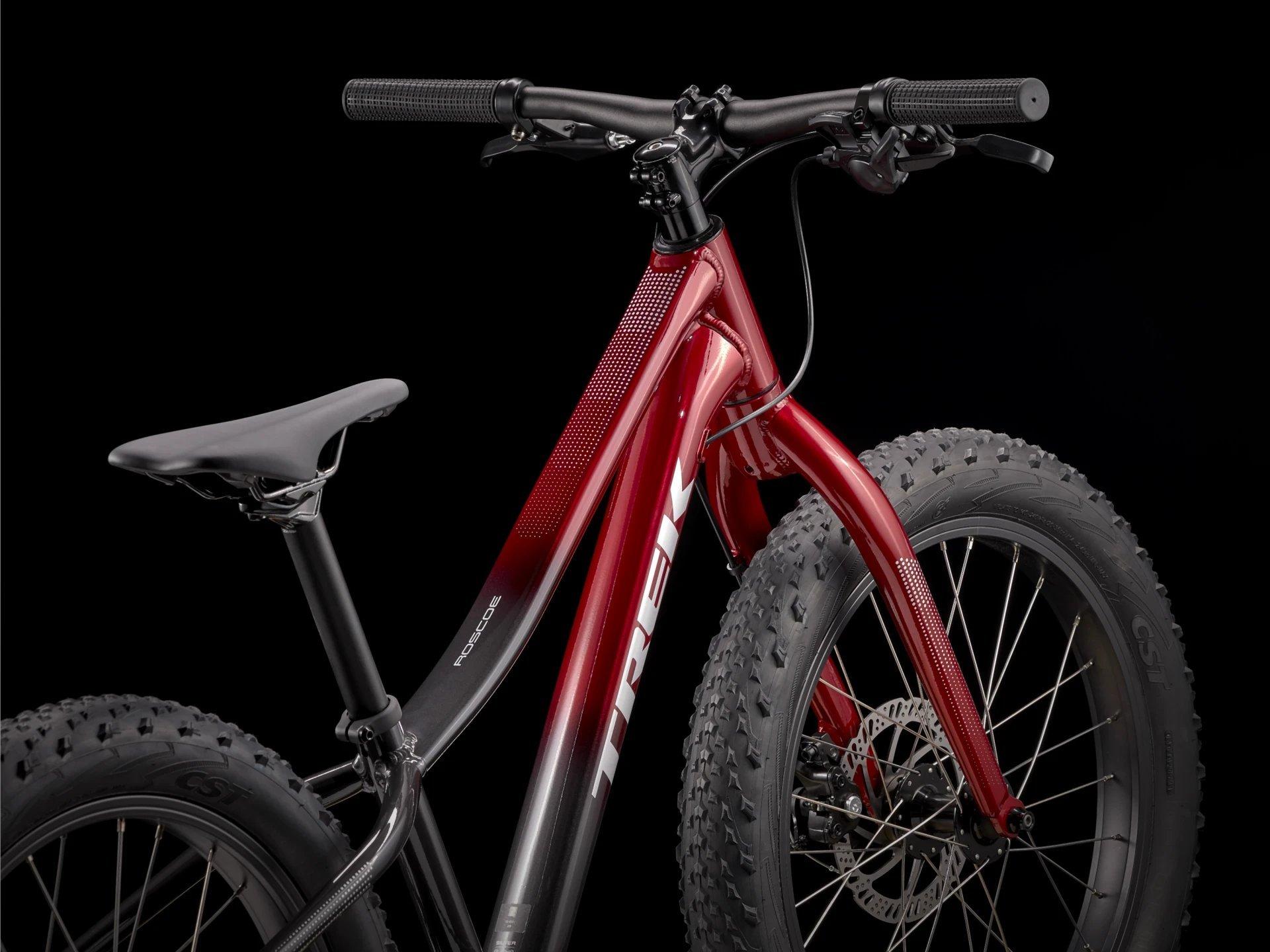 Roscoe 20 Kids' Mountain Bike - Red/Black