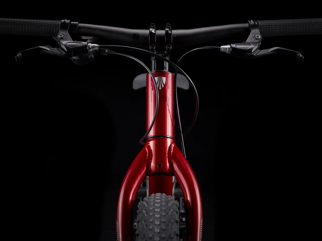 Roscoe 20 Kids' Mountain Bike - Red/Black