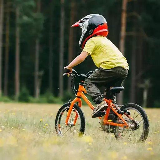 Wild 16 Kids' Bike - Orange
