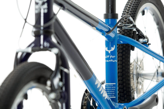 Wild 20 Kids' Bike - Blue
