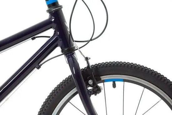 Wild 20 Kids' Bike - Blue