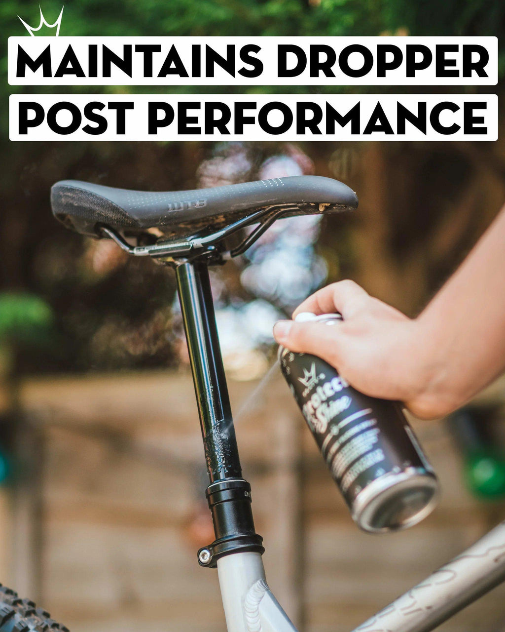 Protect & Shine Spray 400ML